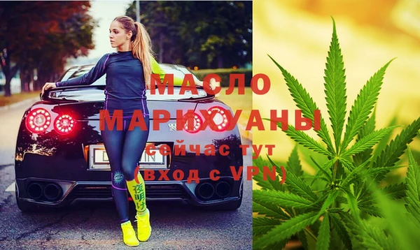 амф Новозыбков