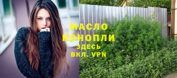 гидра Новодвинск