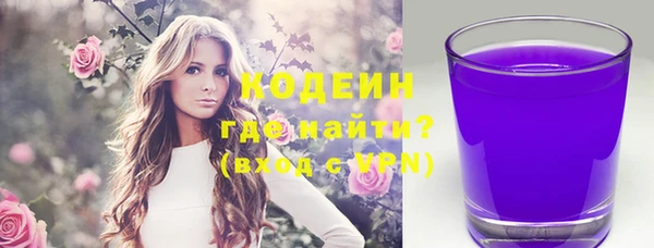 амф Новозыбков