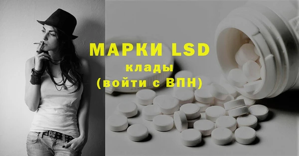 гидра Новодвинск