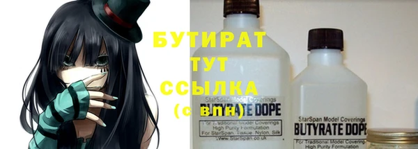 гидра Новодвинск