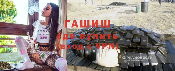 гидра Новодвинск