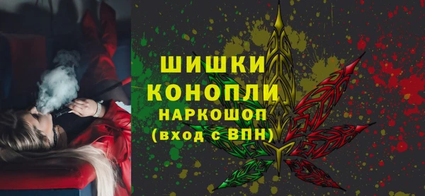 гидра Новодвинск