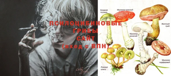 амф Новозыбков