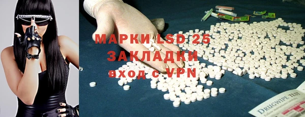 гидра Новодвинск