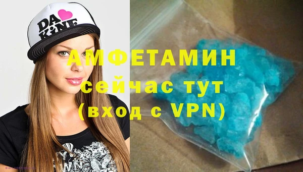 амф Новозыбков