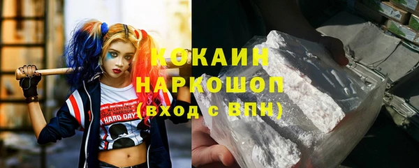 гидра Новодвинск