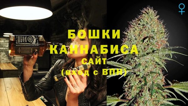 гидра Новодвинск